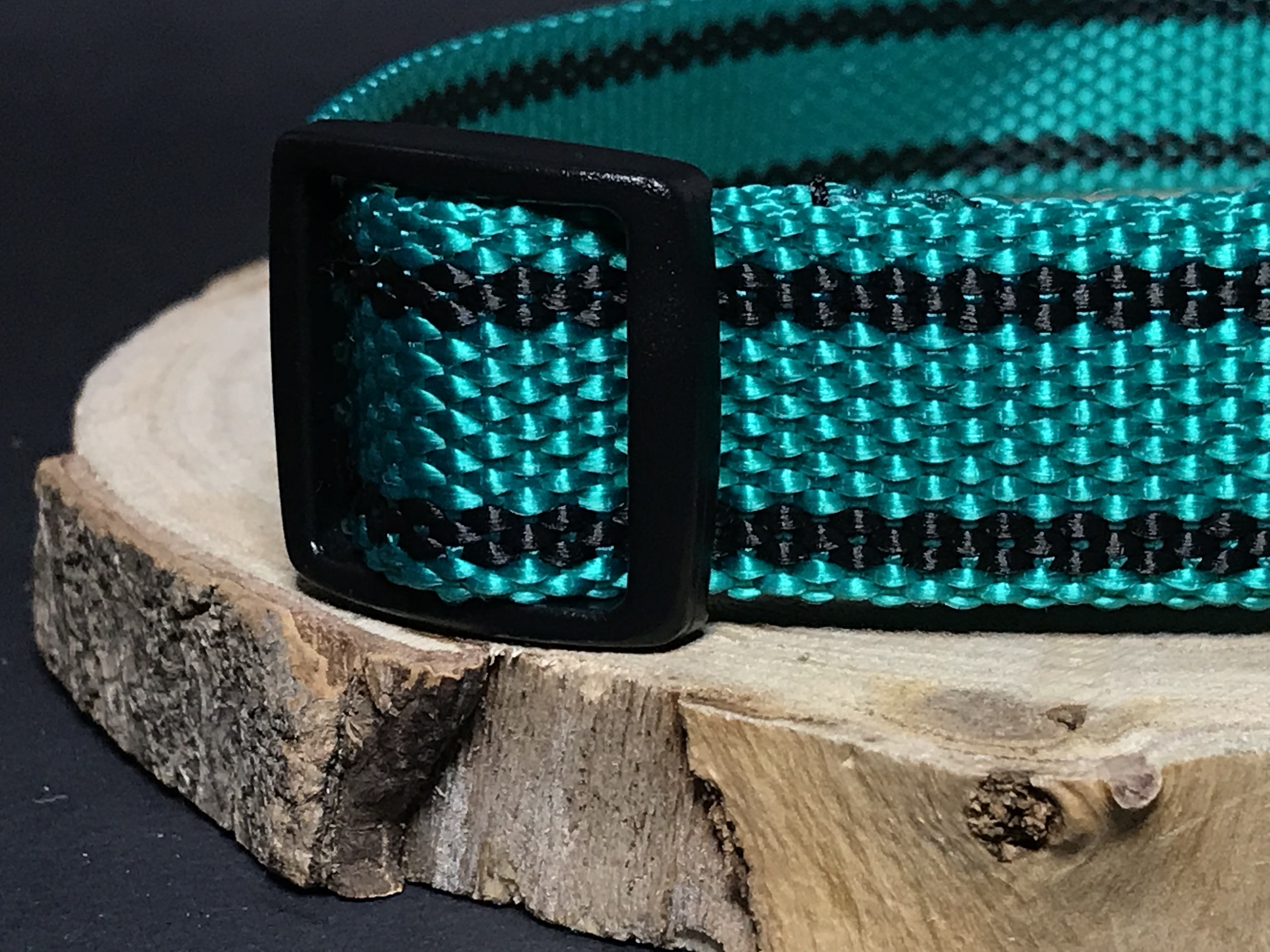 Palkar obojok z popruhu pre psov 65 cm x 25 mm tmavo-zelená s páskami