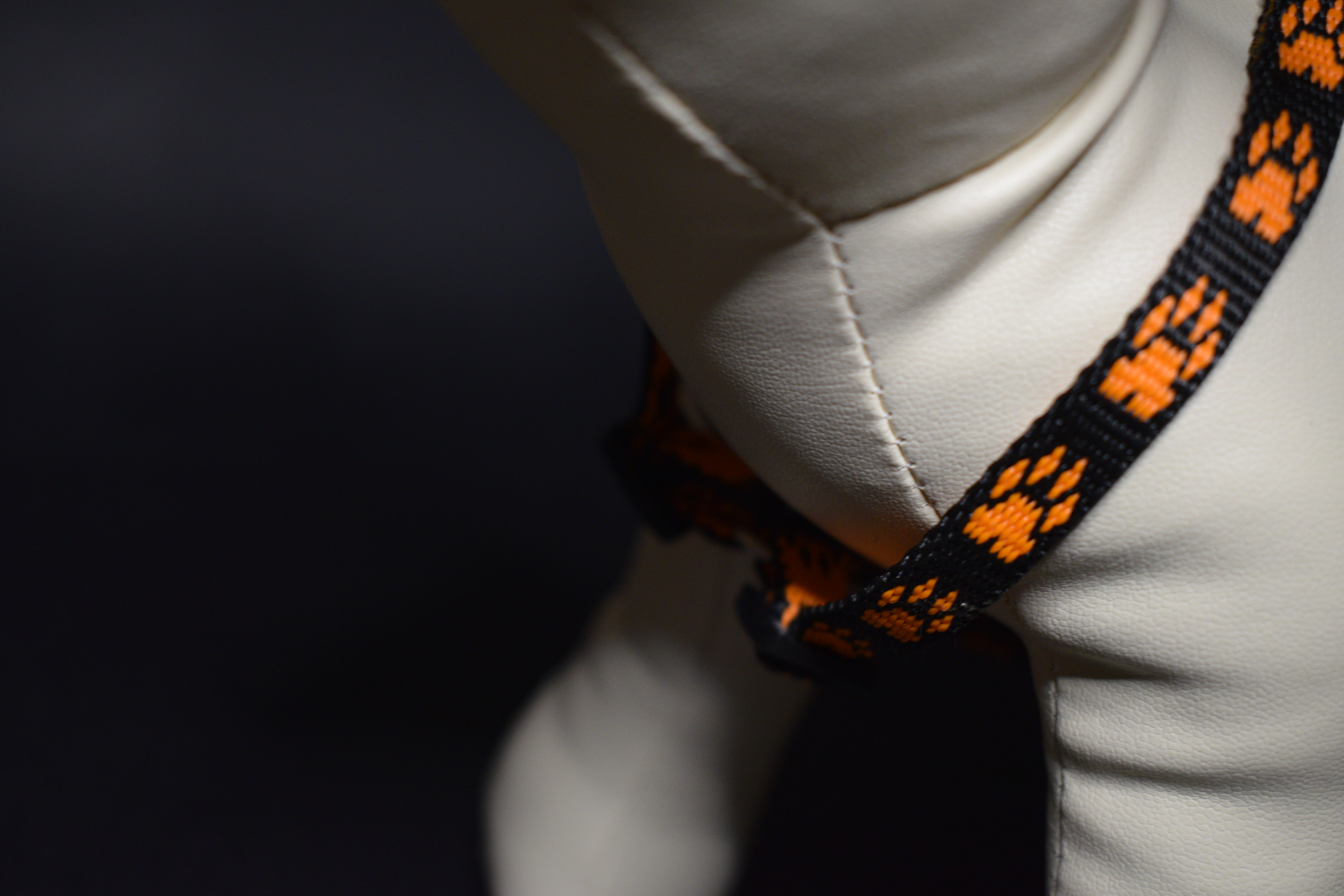 Palkar klasický postroj pre psov 22 cm - 40 cm veľ. 1 čierno-oranžová s labkami