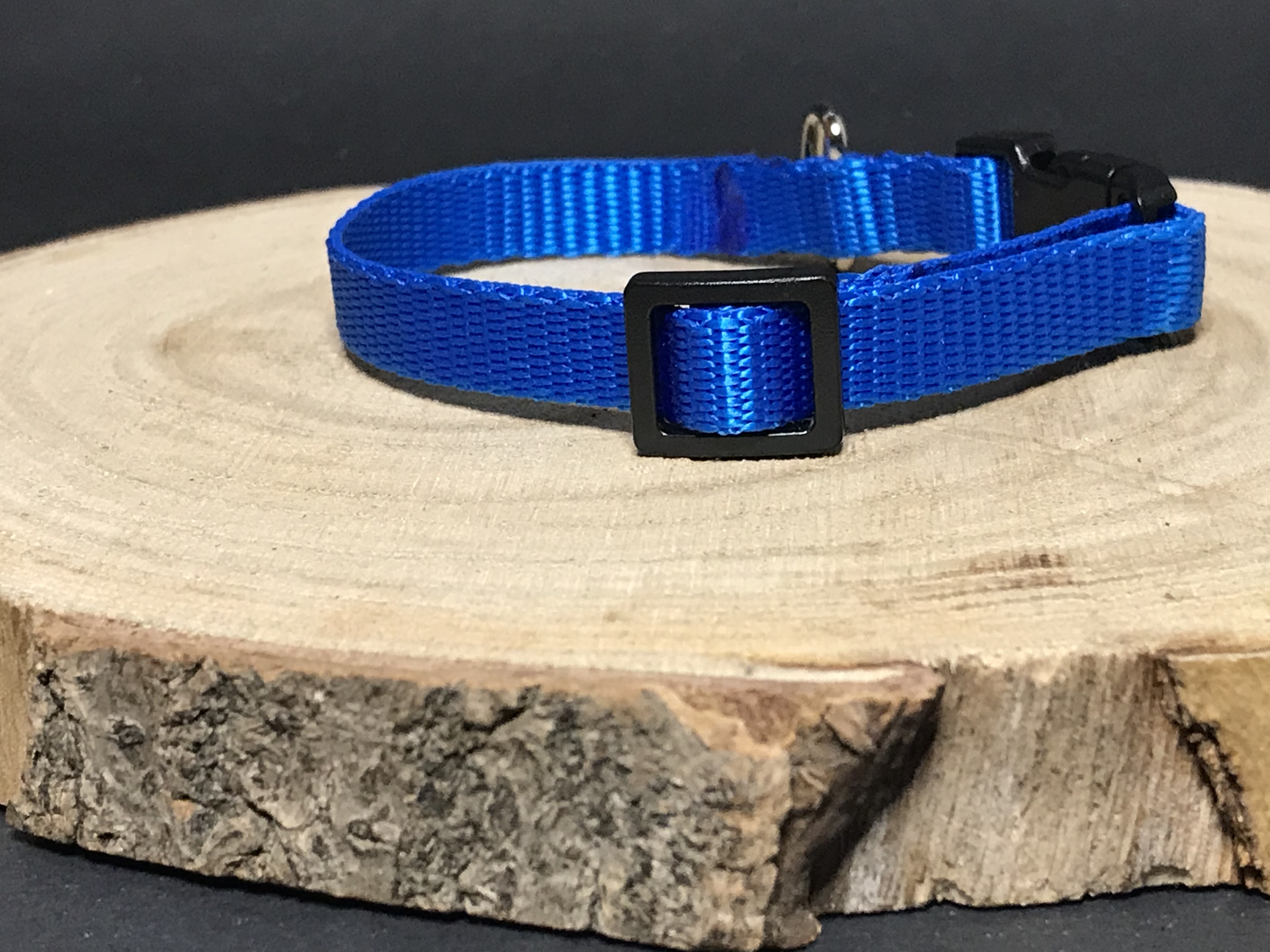 Palkar obojok z popruhu pre psov 25 cm x 10 mm modrá