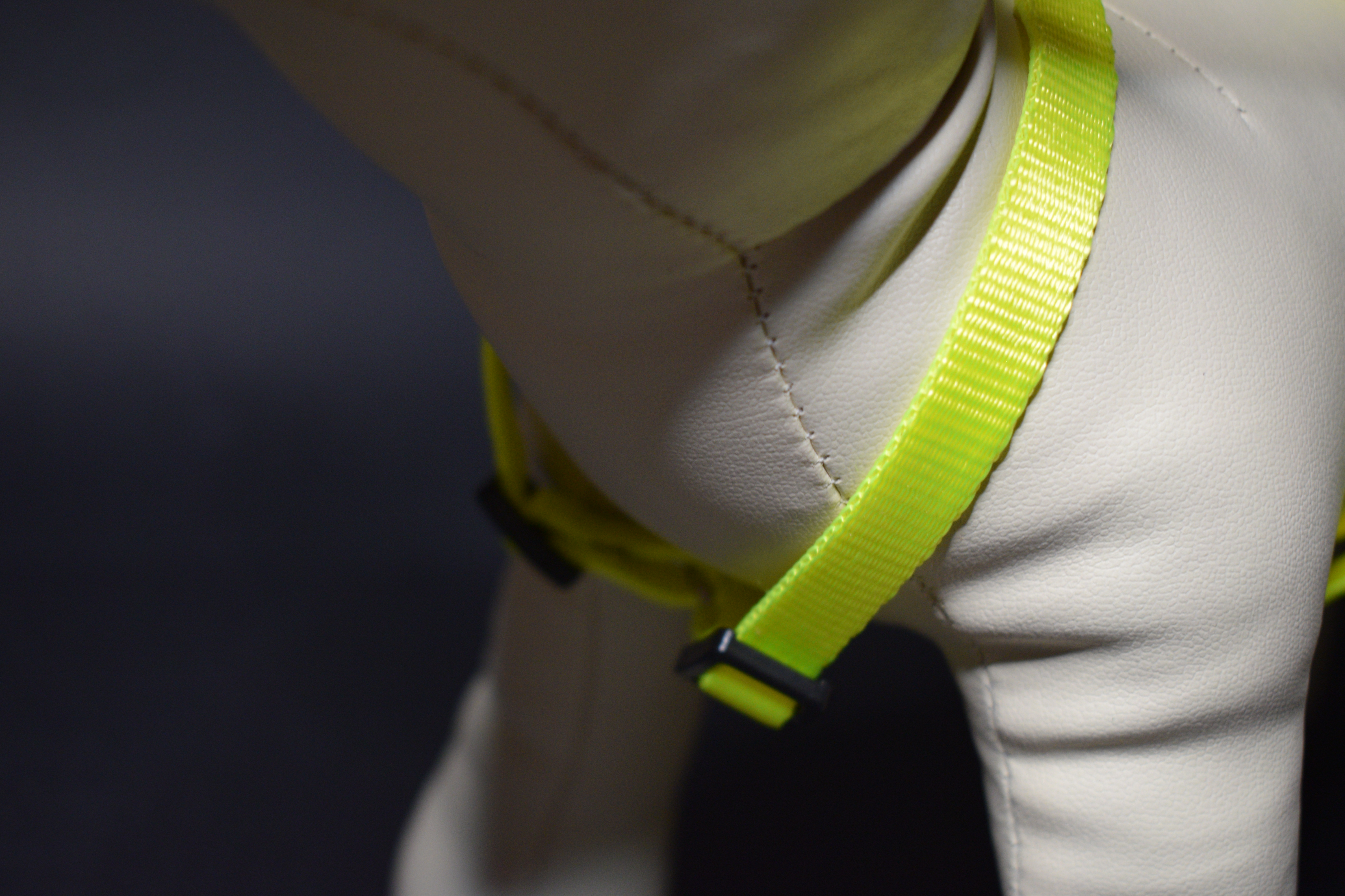 Palkar klasický postroj pre psov 22 cm - 40 cm veľ. 1 neónová