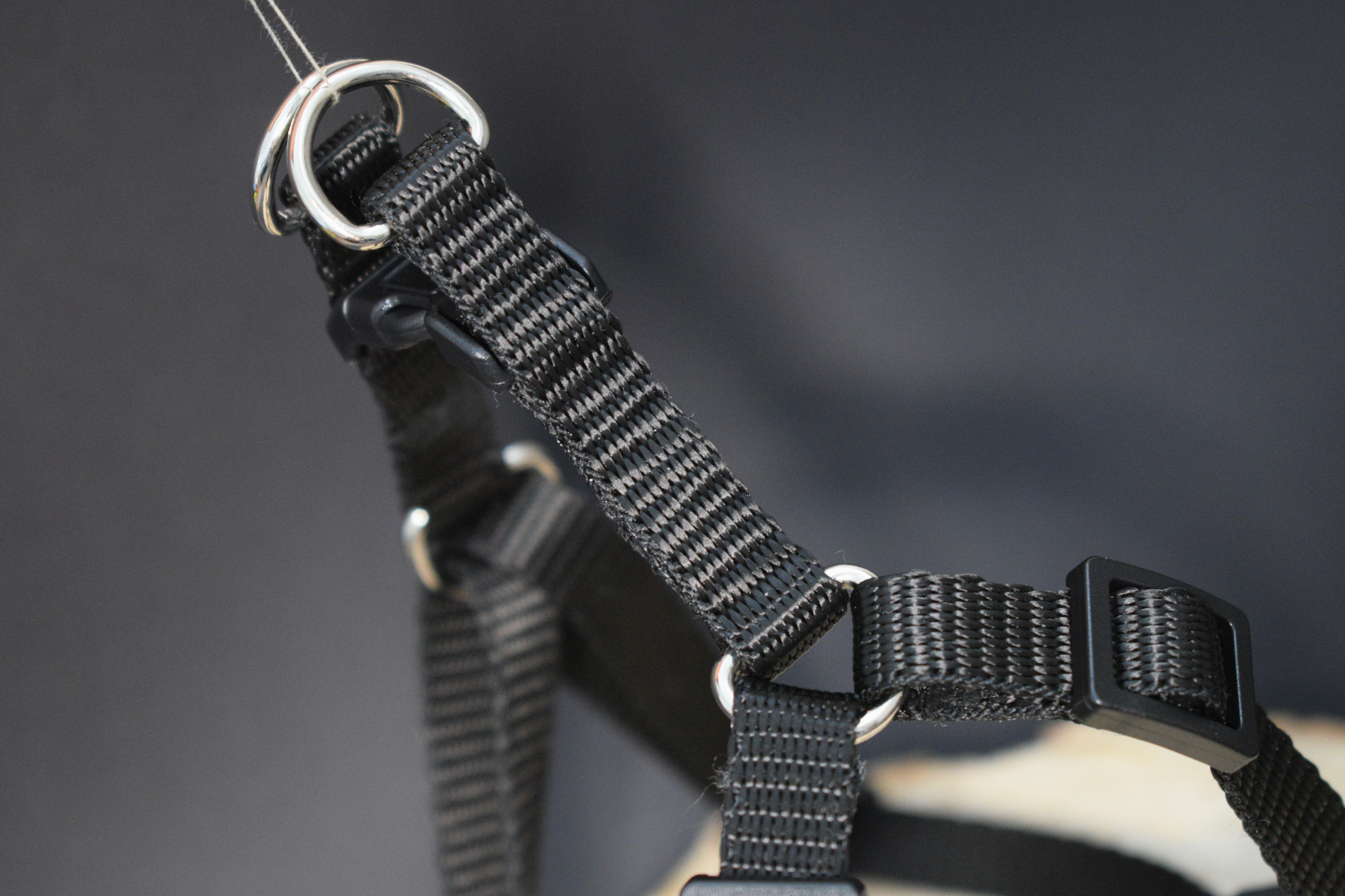 Palkar motýlik postroj pre psov 28 cm - 40 cm veľ. 1 čierna