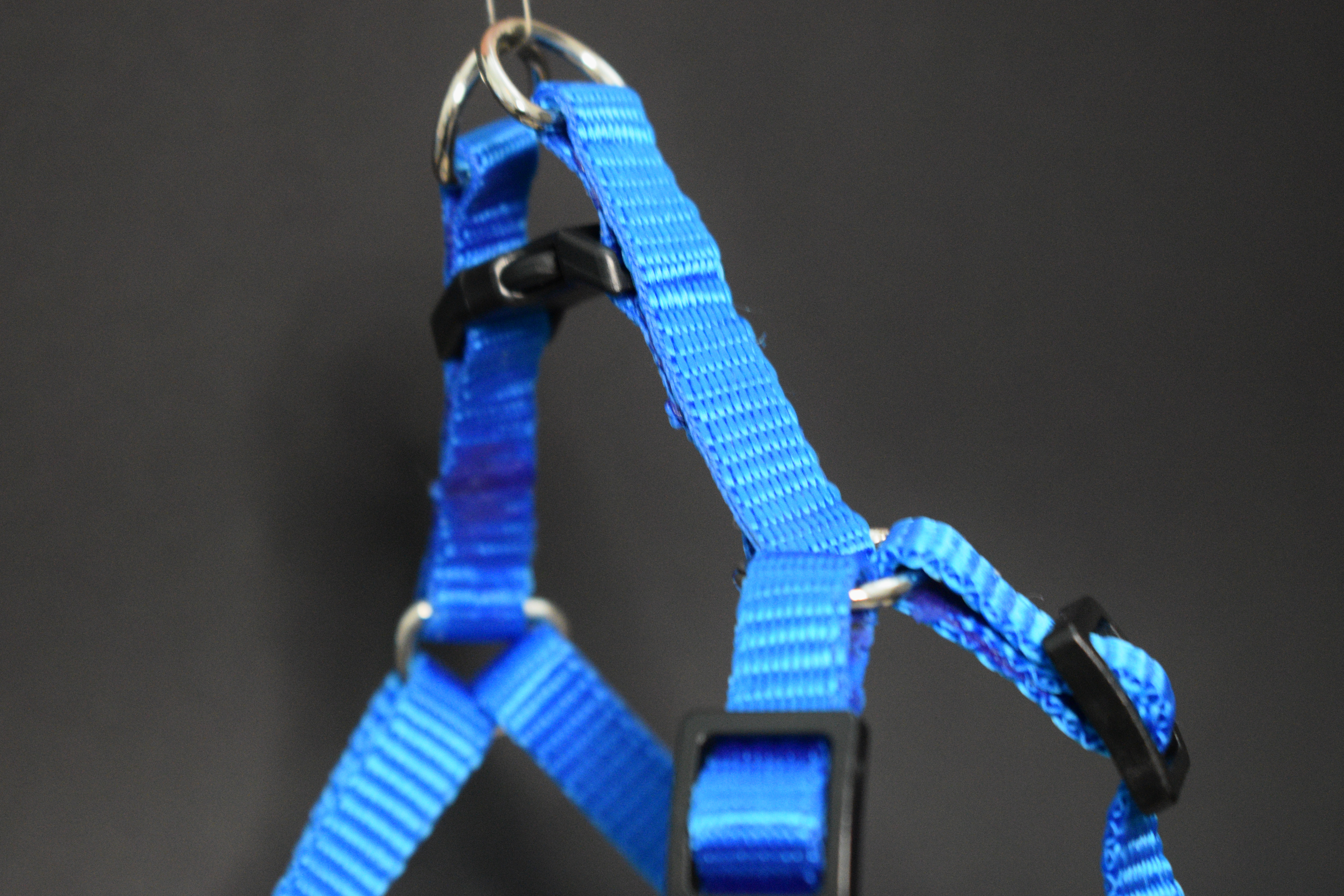 Palkar motýlik postroj pre psov 28 cm - 40 cm veľ. 1 modrá