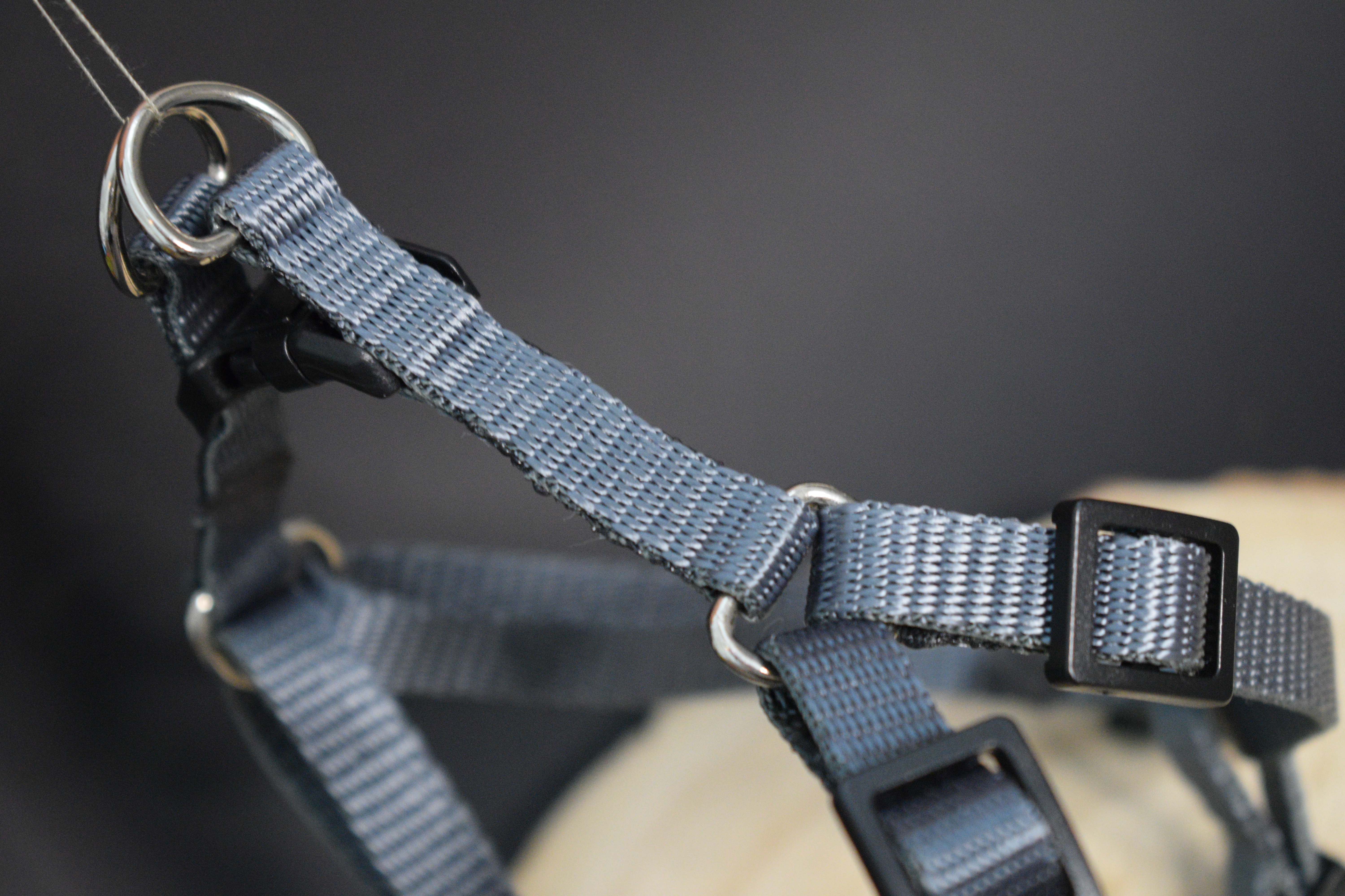 Palkar motýlik postroj pre psov 28 cm - 40 cm veľ. 1 sivá