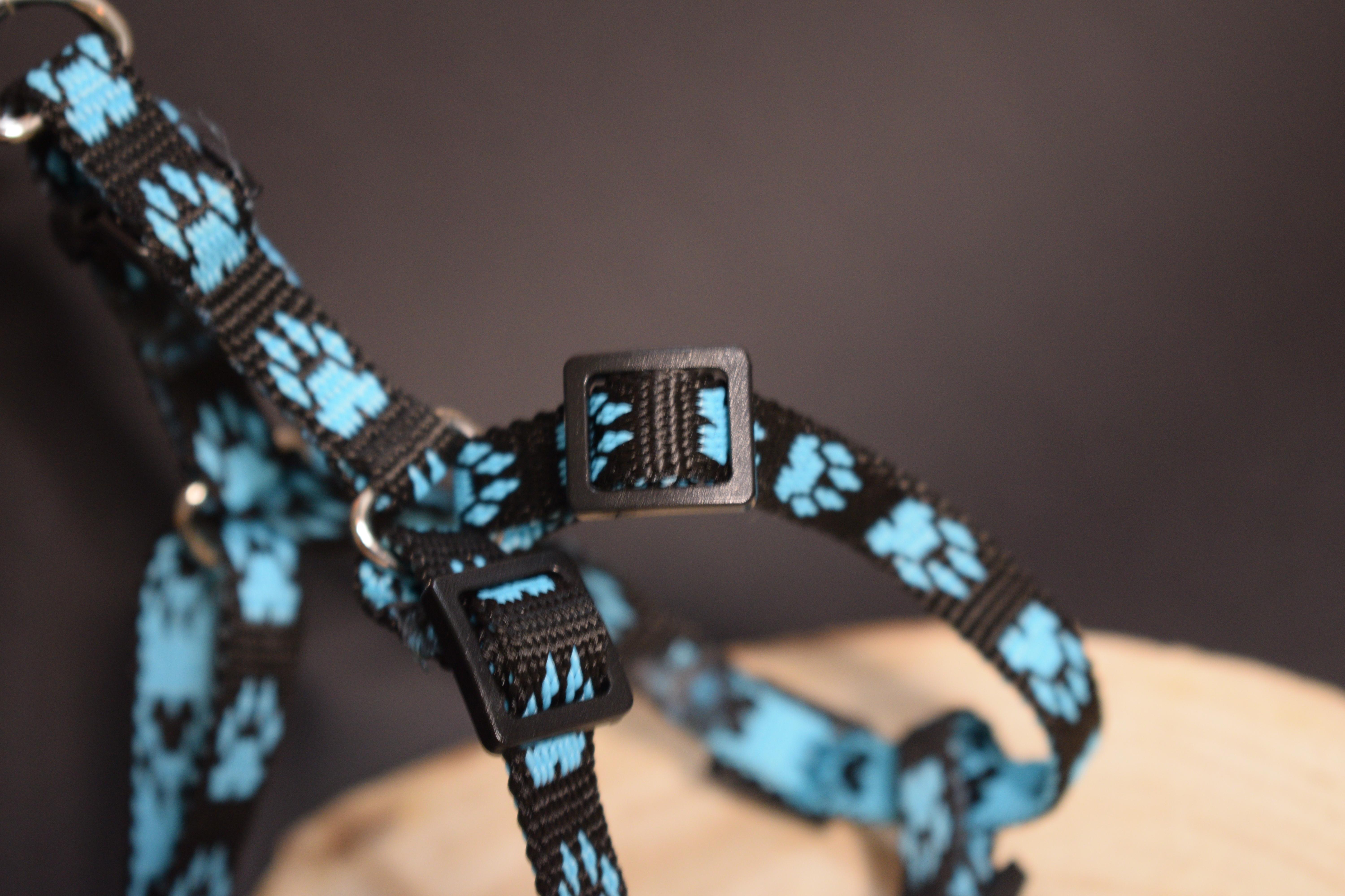 Palkar motýlik postroj pre psov 28 cm - 40 cm veľ. 1 čierno-svetlo-modrá s labkami