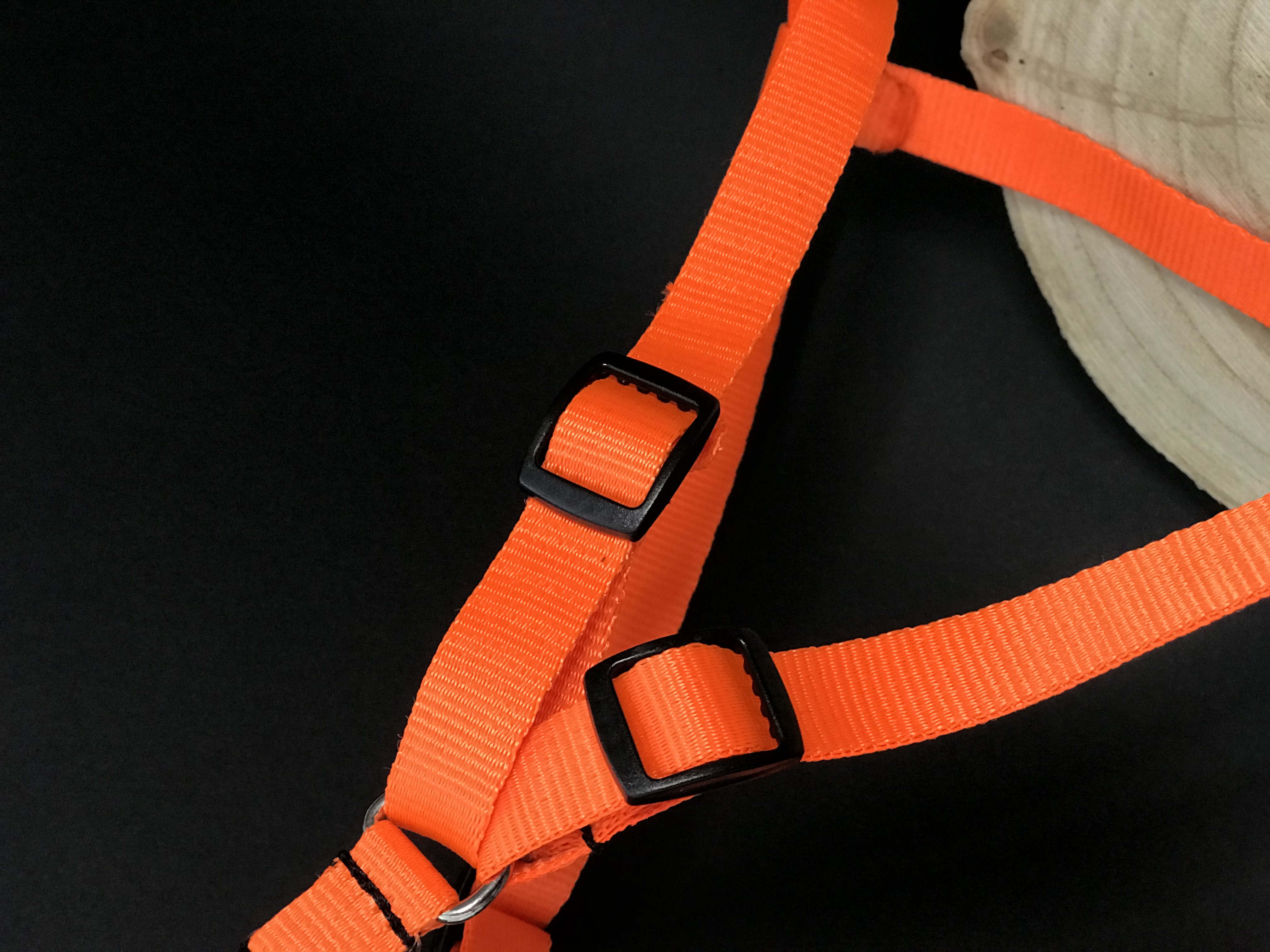 Palkar motýlik postroj pre psov 44 cm - 62 cm veľ. 2 oranžová