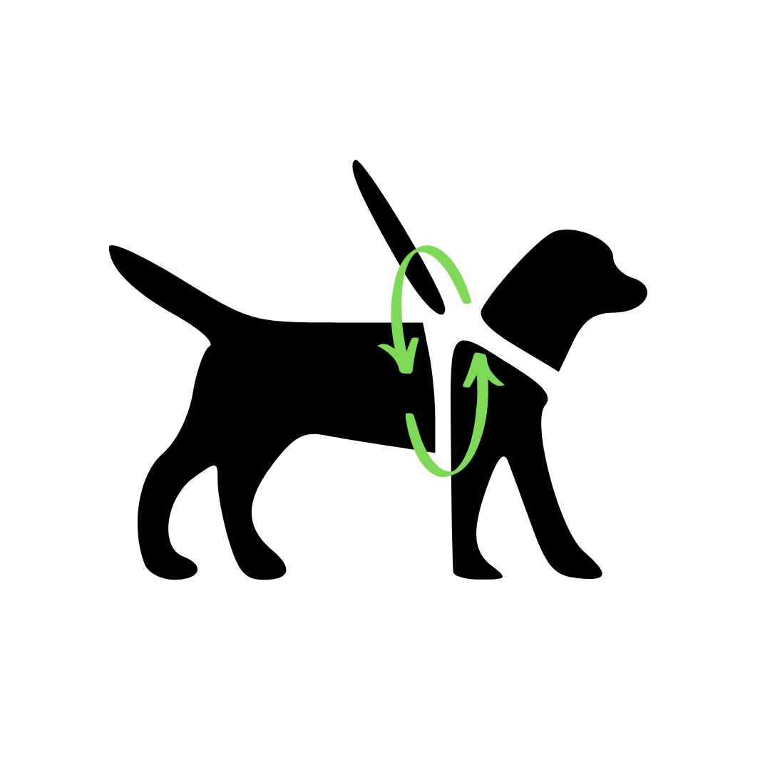 Palkar motýlik postroj pre psov 48 cm - 72 cm veľ. 4 čierno-fialová s labkami