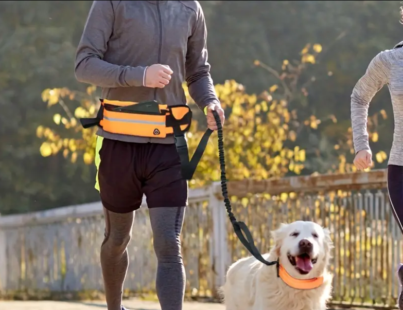 Berry set vodítko na behanie s amortizérom červený