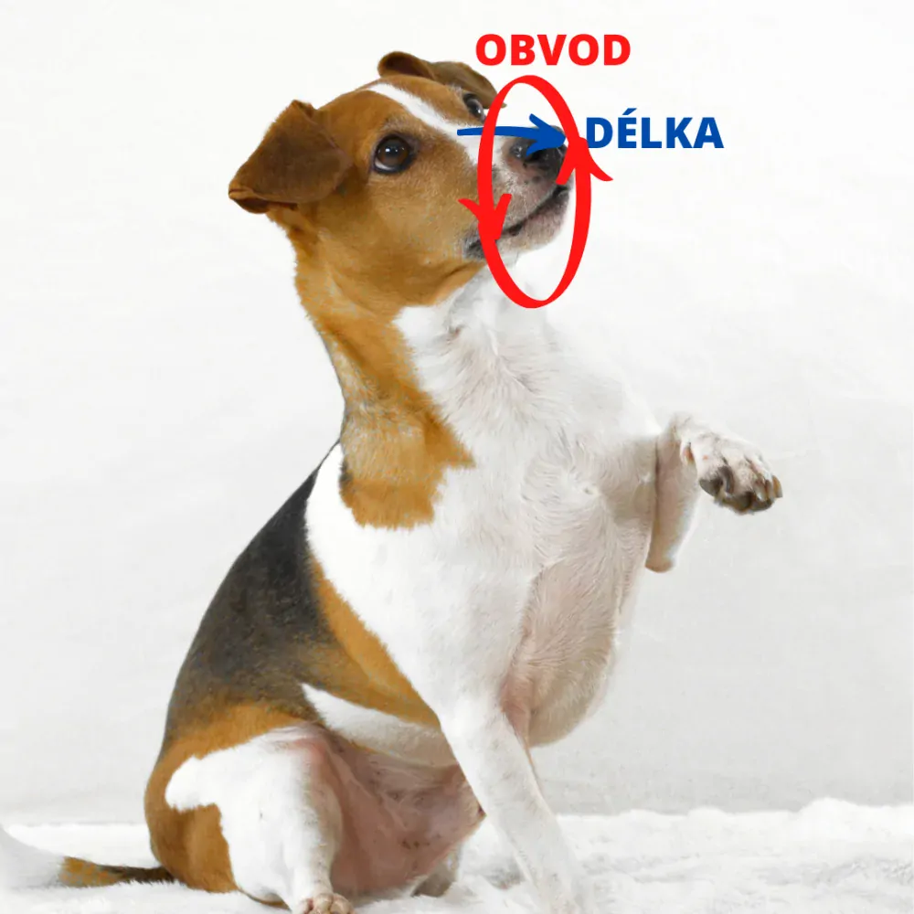 Palkar nylonový náhubok pre psov veľ. 2 22 cm x 7,5 cm čierno-modrá