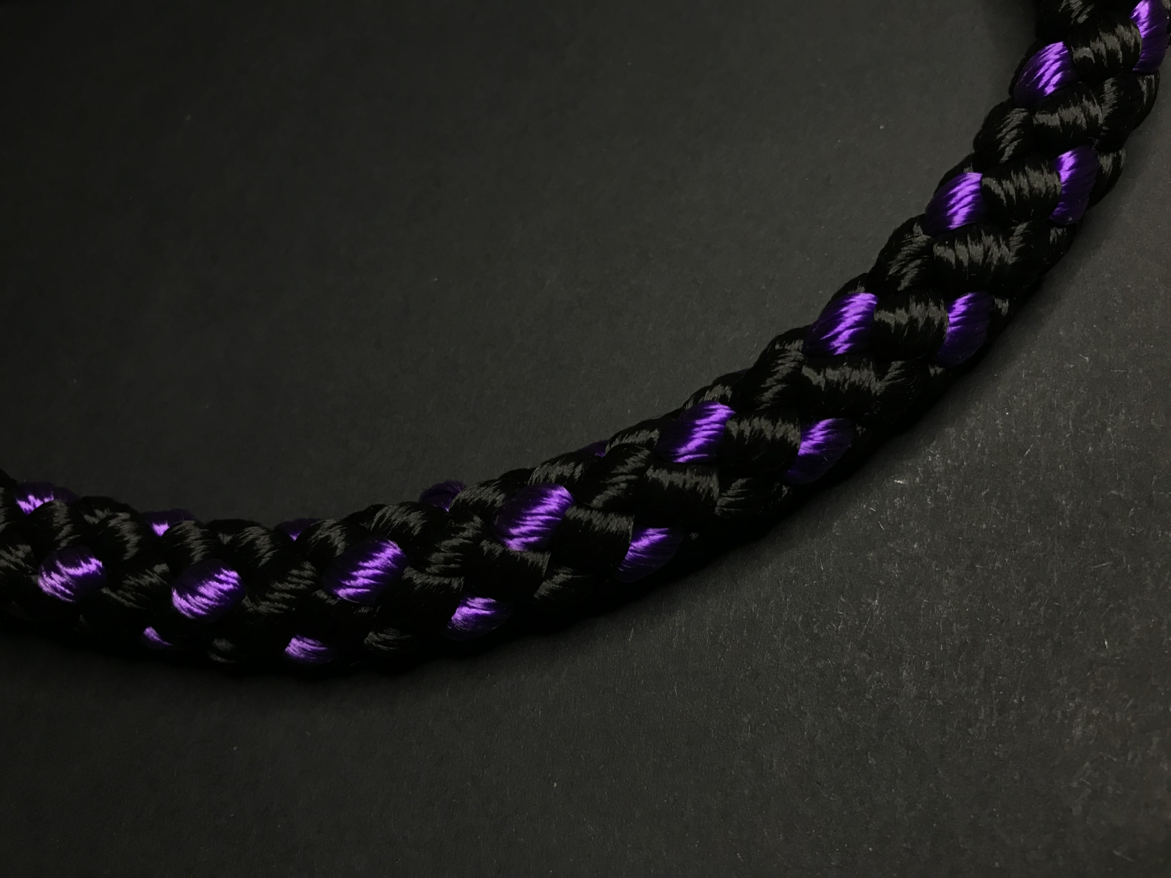 Palkar vodítko ucho pre psov 55 cm x 14 mm čierno-fialová