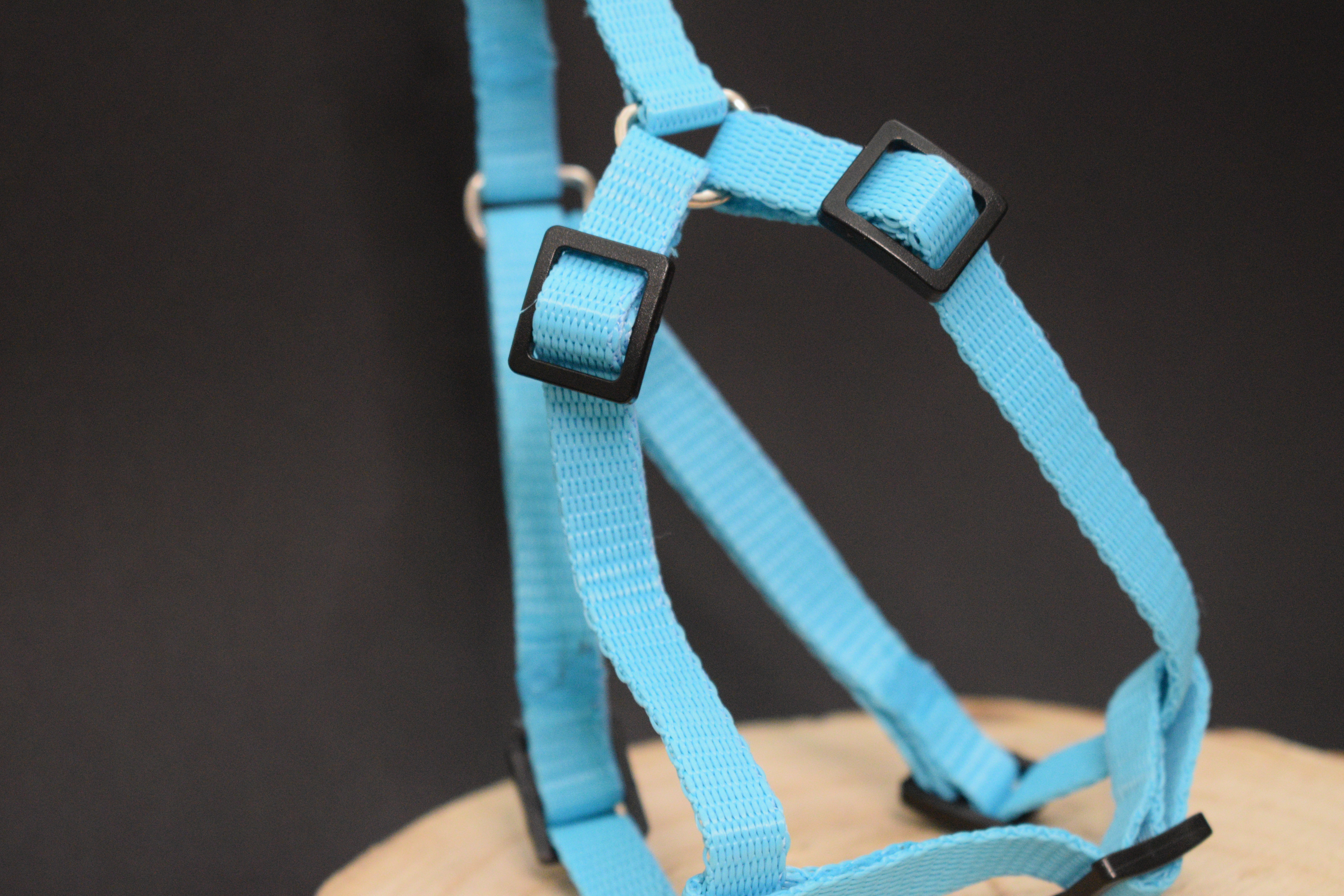 Palkar motýlik postroj pre psov 28 cm - 40 cm veľ. 1 tyrkysová