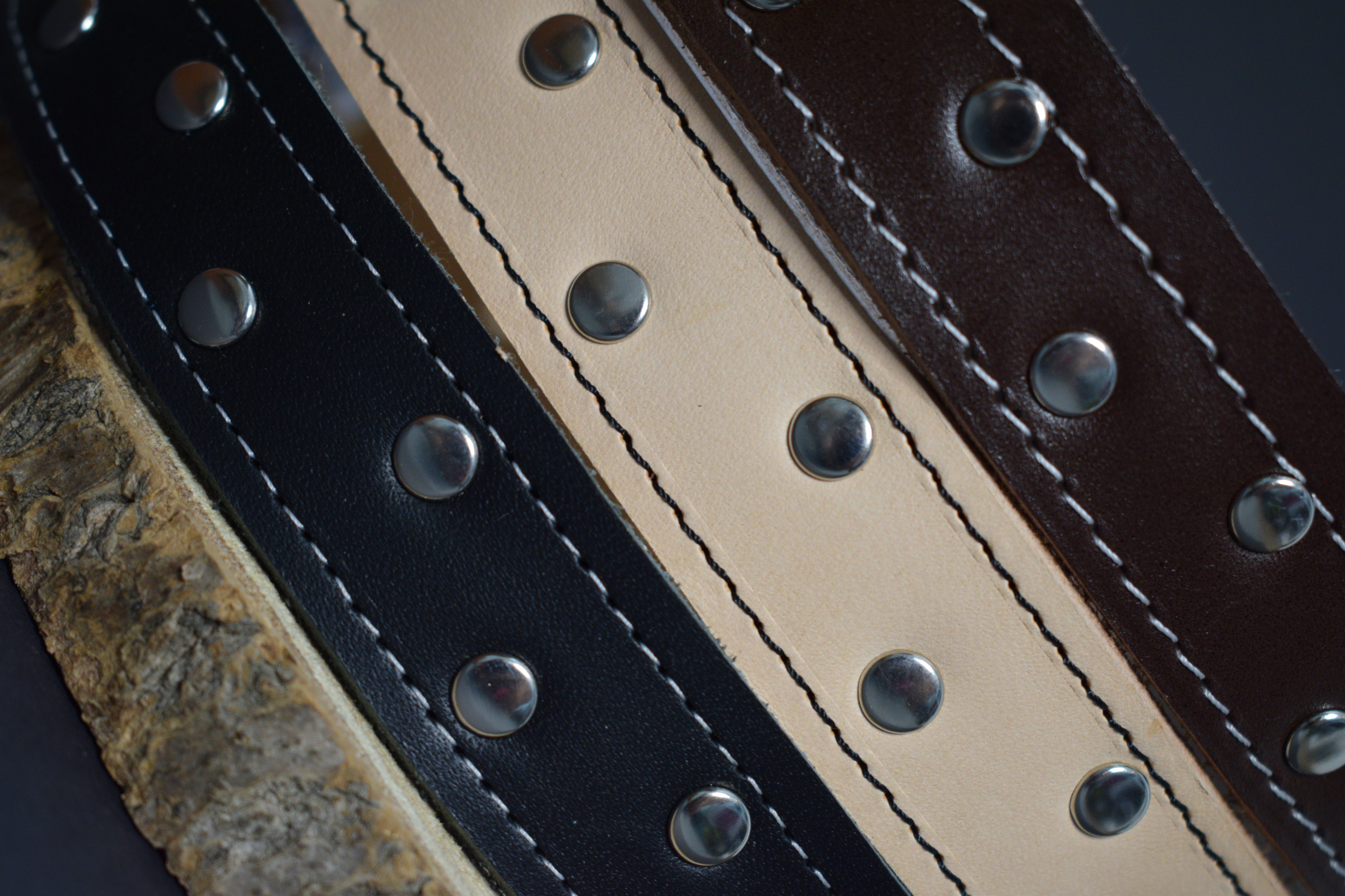 Palkar zdobený obojok z kože hladenice pre psov 65 cm x 26 mm čierny