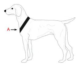 Palkar obojok z velúrovej kože pre psy 20 cm x 12 mm ružová
