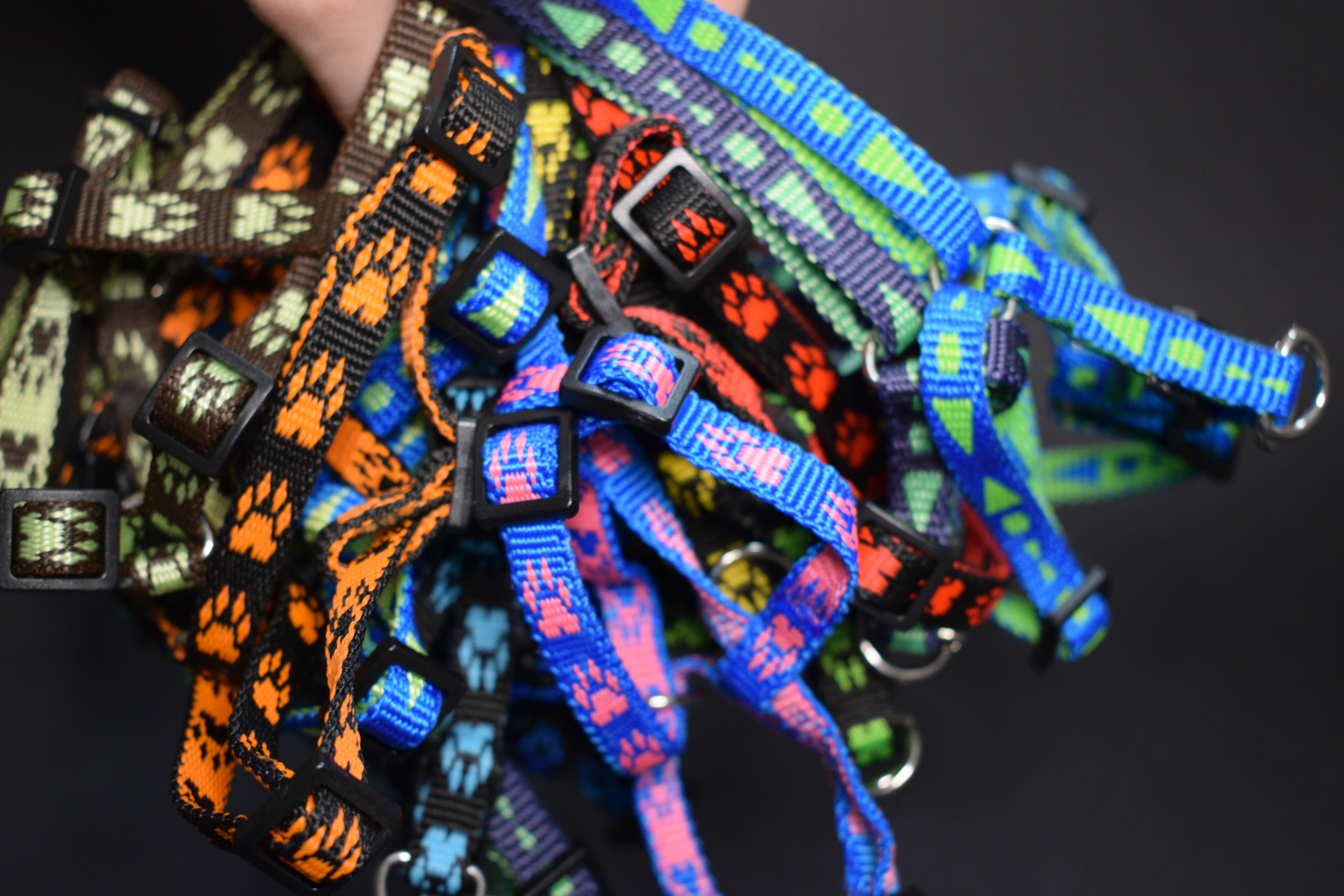 Palkar motýlik postroj pre psov 28 cm - 40 cm veľ. 1 čierno-svetlo-modrá s labkami