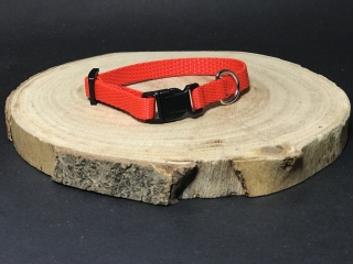 Palkar obojok z popruhu pre psov 25 cm x 10 mm červená