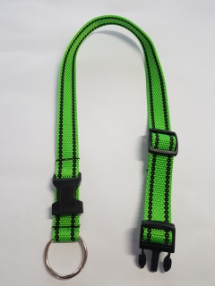 Palkar obojok z popruhu pre psov 65 cm x 25 mm svetlo-zelená s páskami