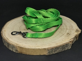 Palkar vodítko z popruhu pre psov 150 cm x 10 mm zelená
