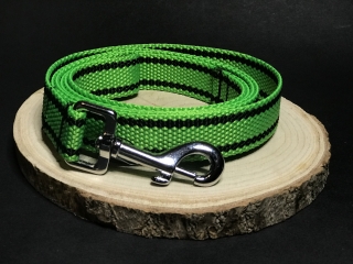 Palkar vodítko z popruhu pre psov 150 cm x 25 mm svetlo-zelená s páskami